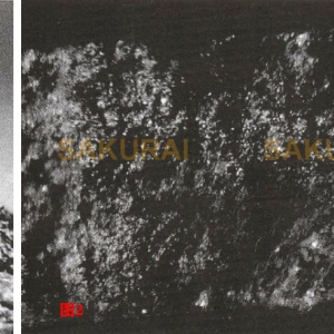 壓鑄鑄件內(nèi)部滲漏產(chǎn)生原因及解決方案